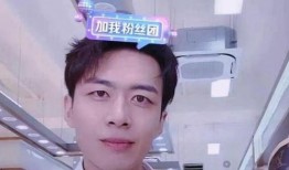 李丽欣被爆料视频,真相与争议